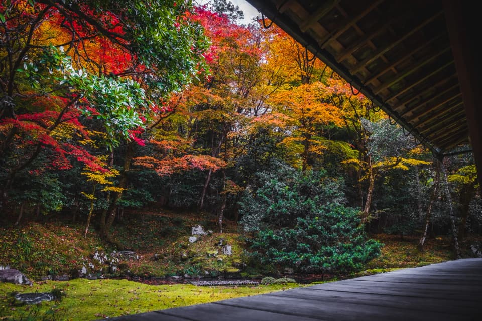 近江孤篷庵の紅葉