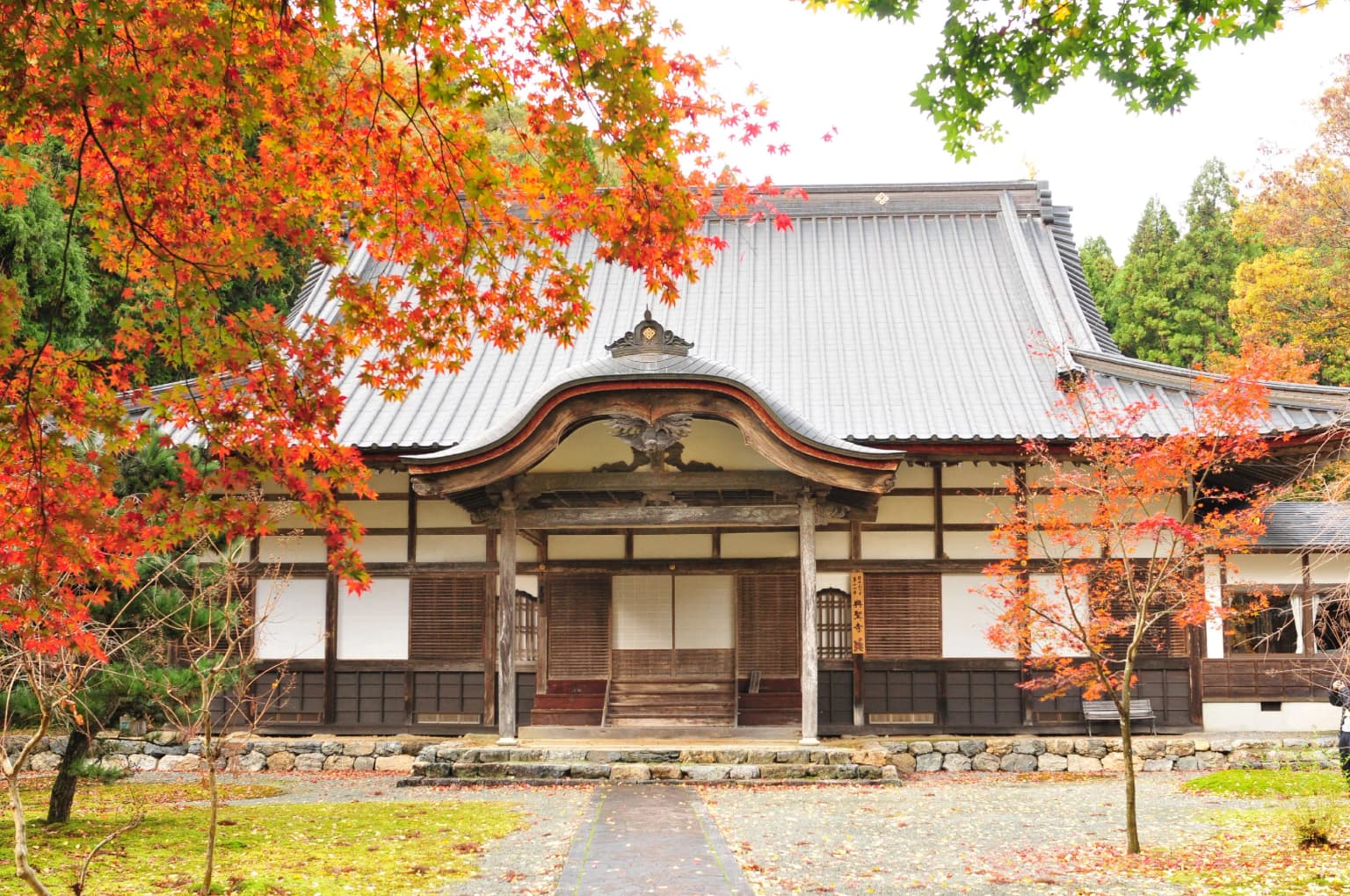興聖寺の紅葉