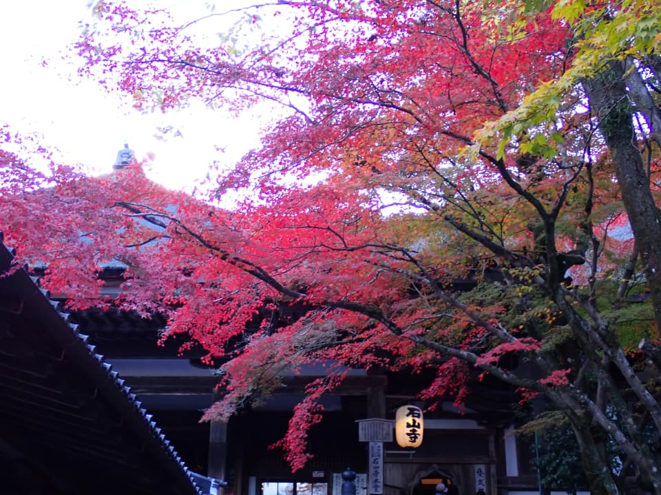 石山寺の紅葉