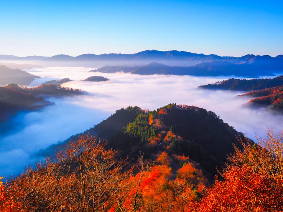 小入谷の紅葉