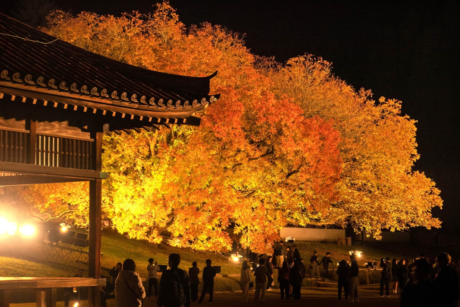旧閑谷学校の紅葉
