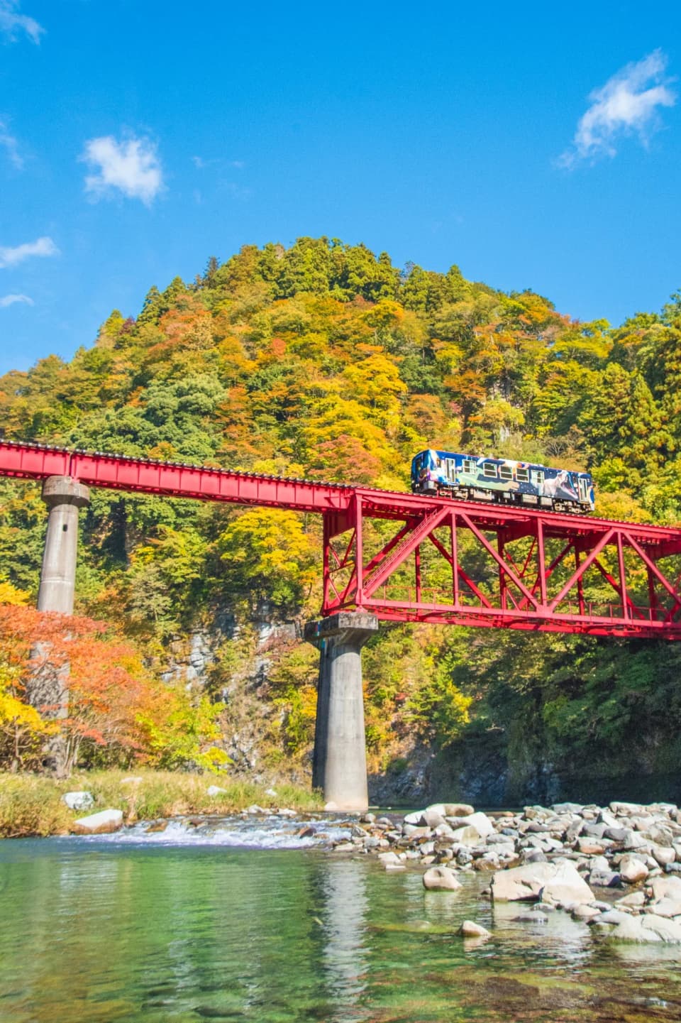 Autumn leaves of Kuzuryu Gorge