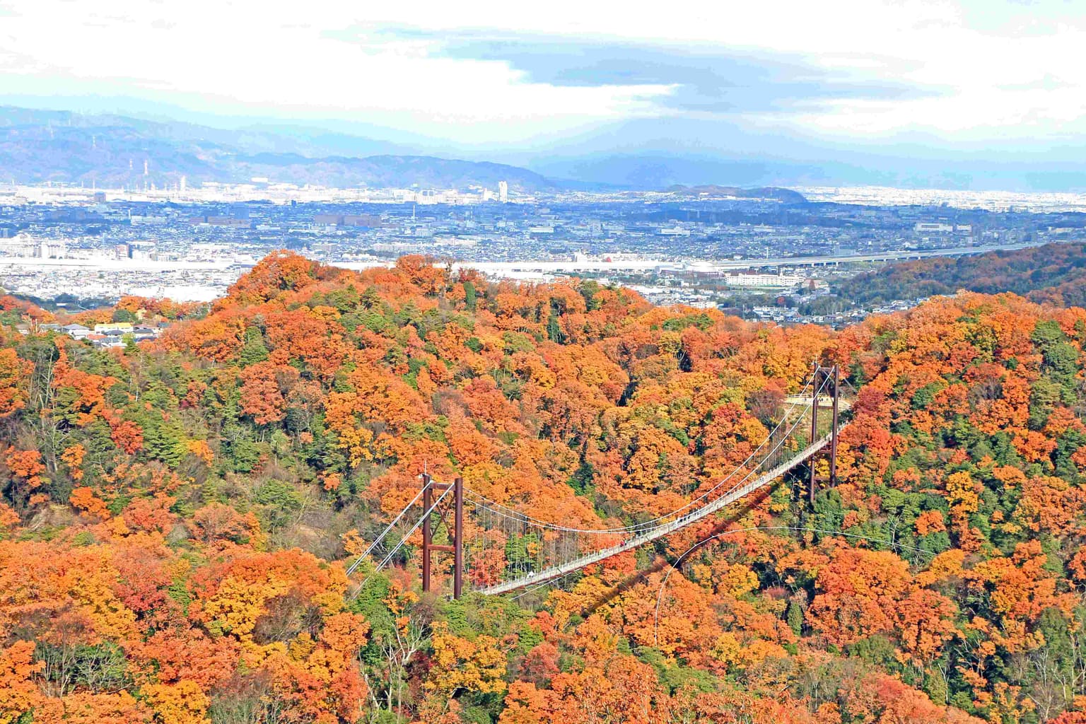 Autumn leaves in Hoshida Garden and Star swings (Osaka Prefectural Forest)