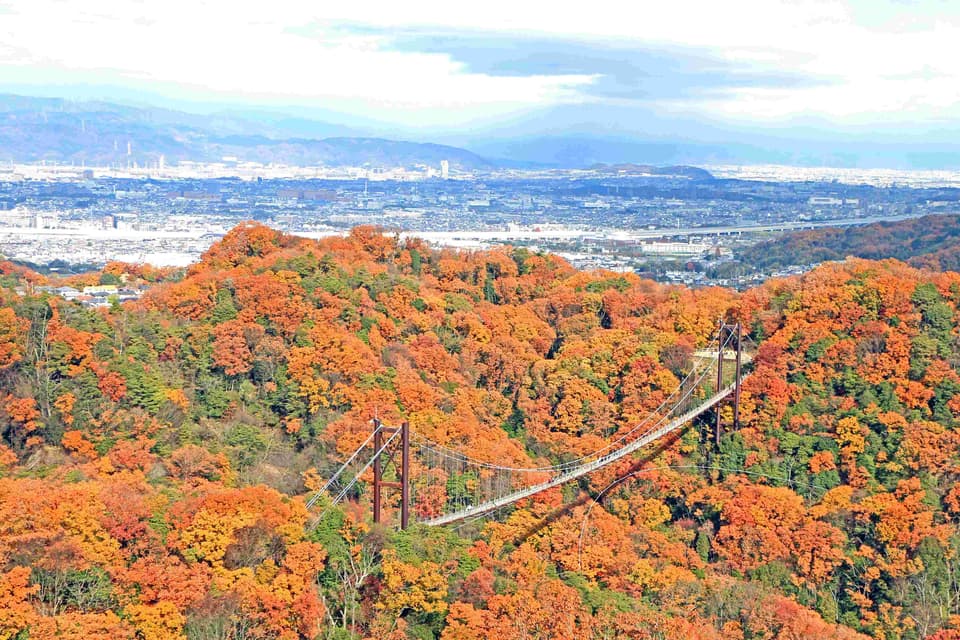 Autumn leaves in Hoshida Garden and Star swings (Osaka Prefectural Forest)