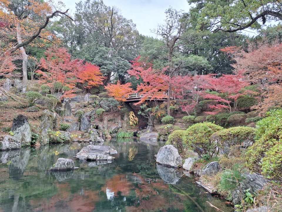 Autumn leaves in Wakayama Castle