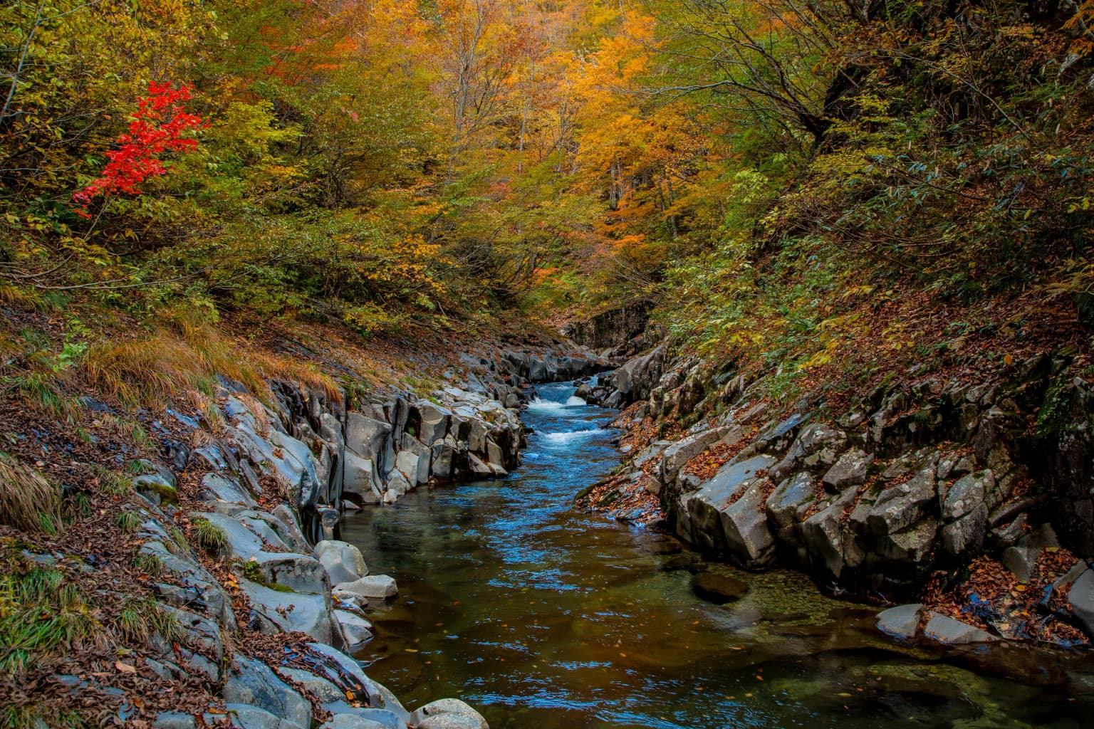 Autumn leaves in Urabandai Kogen (Nakatsugawa Valley)