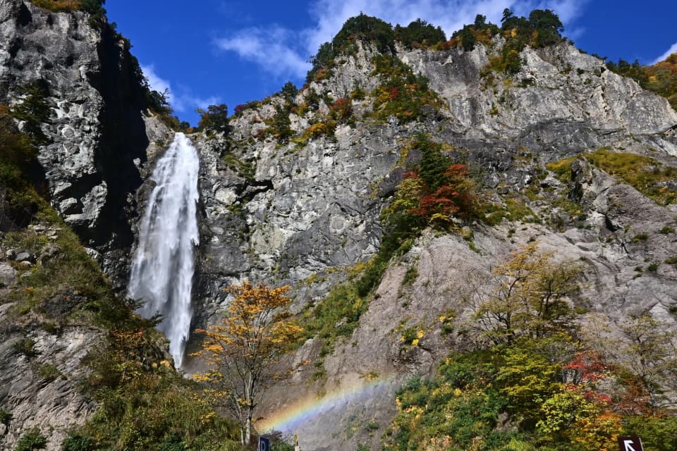 白山白川郷ホワイトロード(ふくべの大滝駐車場:標高930m付近)の紅葉
