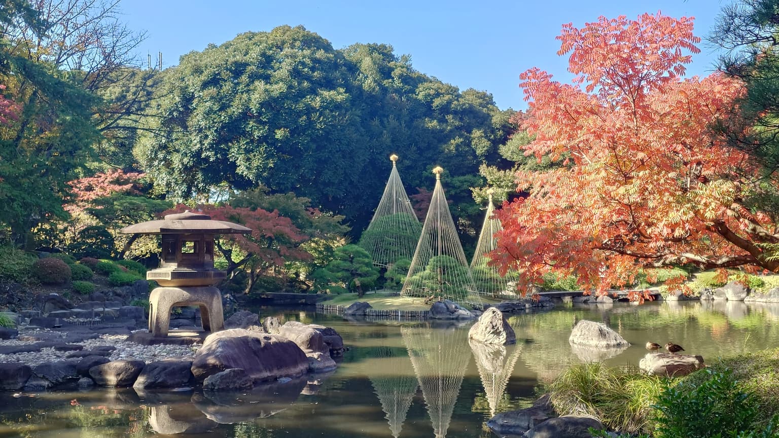 Japanese garden