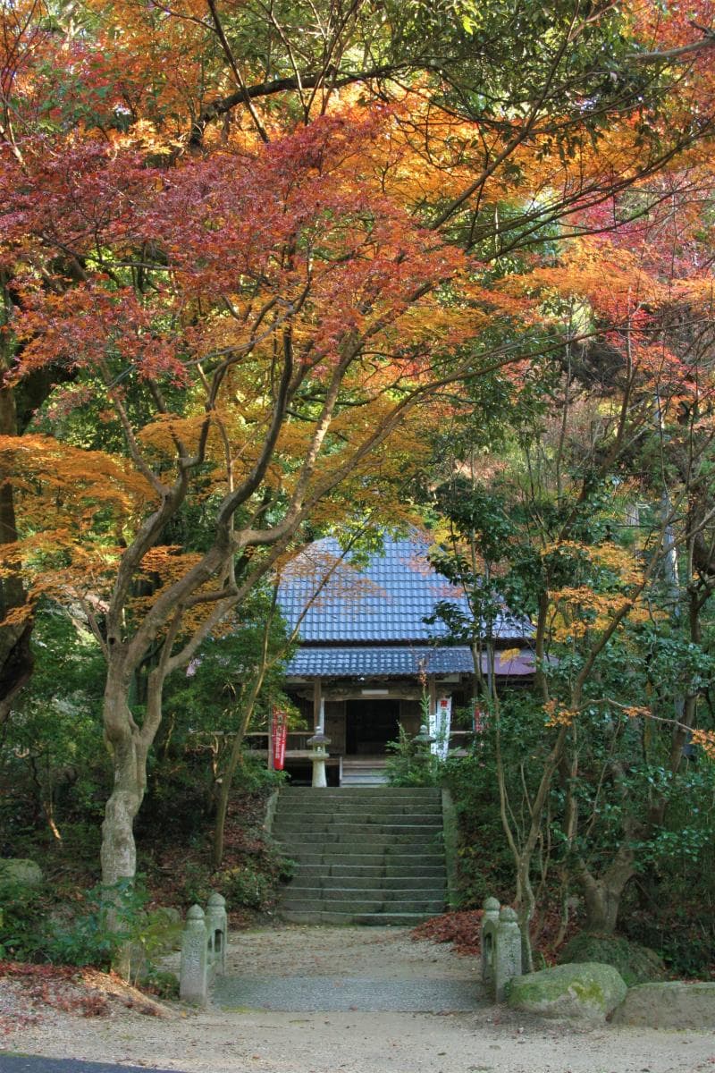 猿投神社紅葉林の紅葉