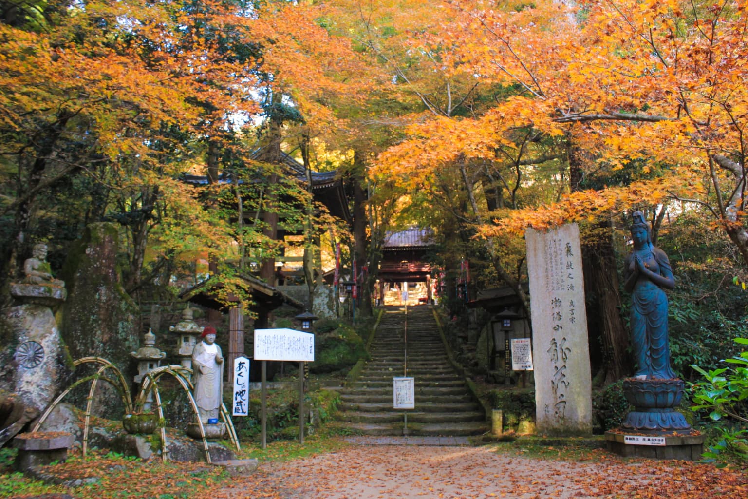 Autumn leaves of Ryuzo-ji Temple